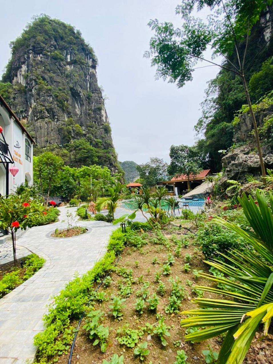 Tam Coc Galaxy Villa Ninh Binh Exterior foto